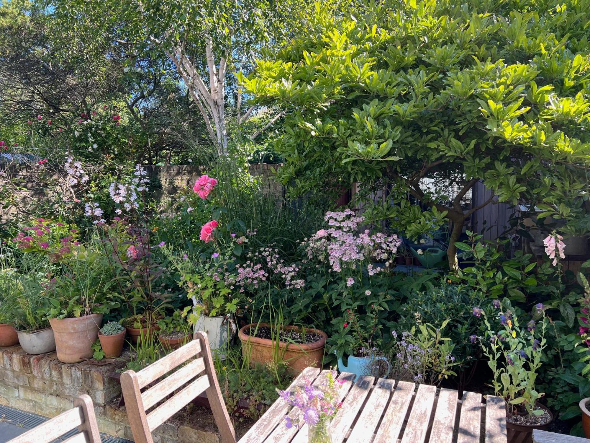Bright And Elegant 2 Bedroom Flat, Near Notting Hill ลอนดอน ภายนอก รูปภาพ