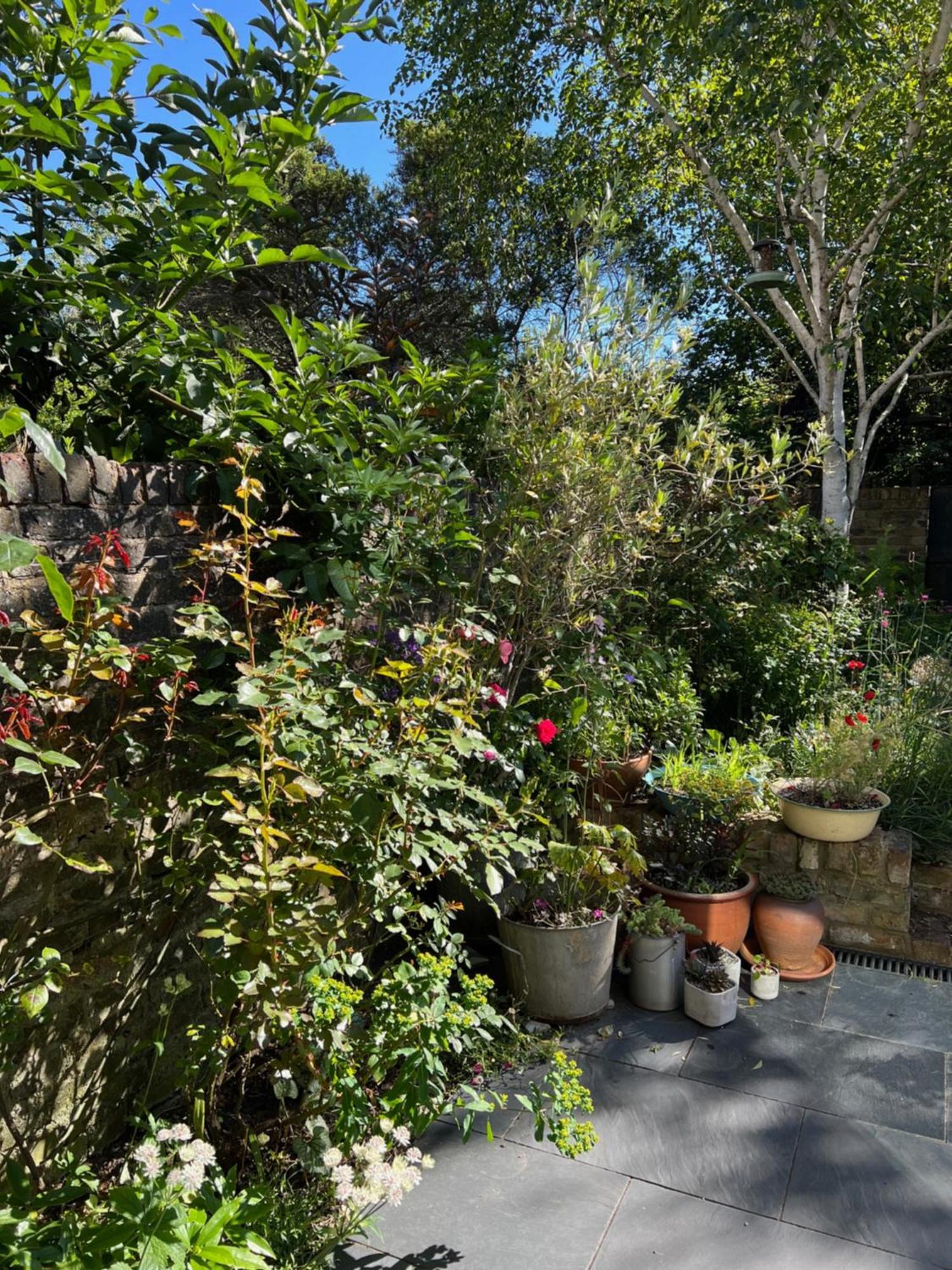 Bright And Elegant 2 Bedroom Flat, Near Notting Hill ลอนดอน ภายนอก รูปภาพ