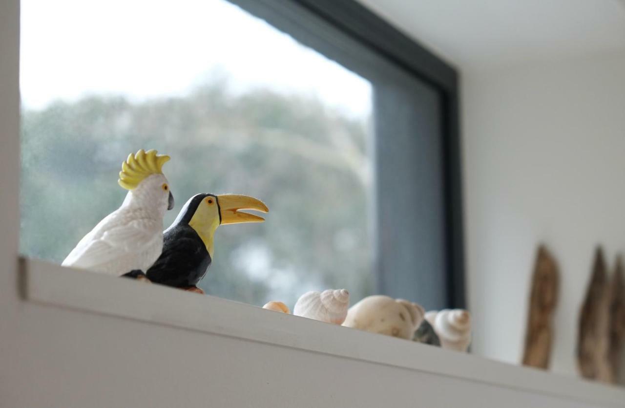 Bright And Elegant 2 Bedroom Flat, Near Notting Hill ลอนดอน ภายนอก รูปภาพ